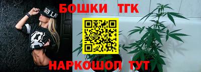 крисы Будённовск
