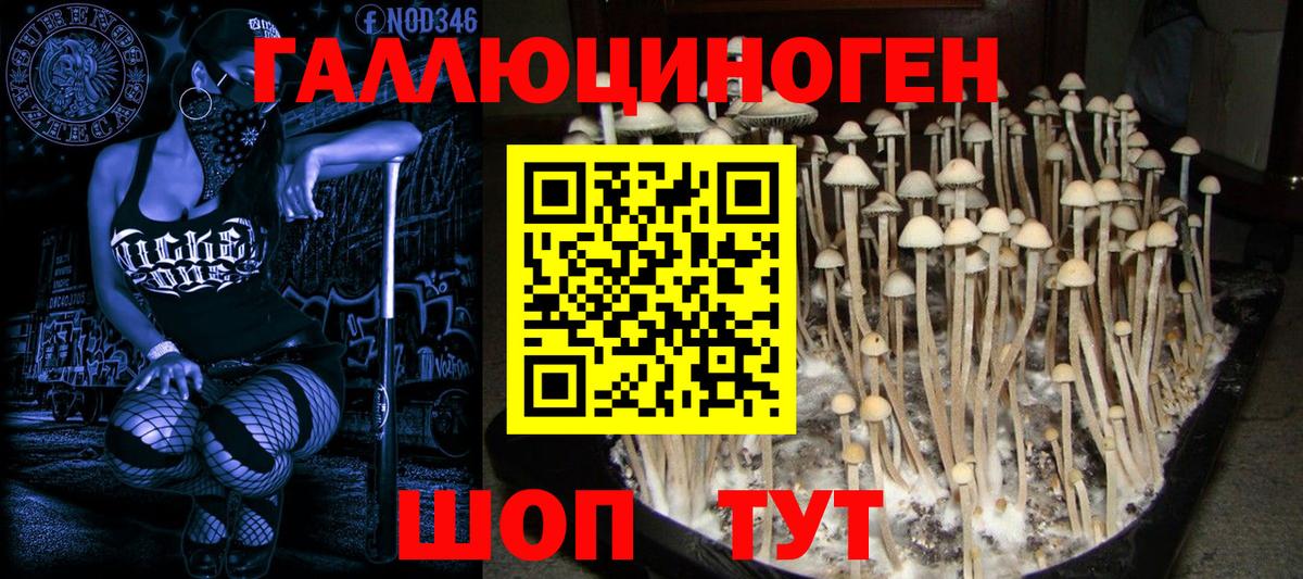 Галлюциногенные грибы GOLDEN TEACHER Первоуральск